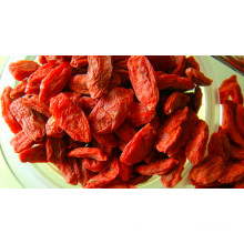 Goji-Beere mit gutem Geschmack